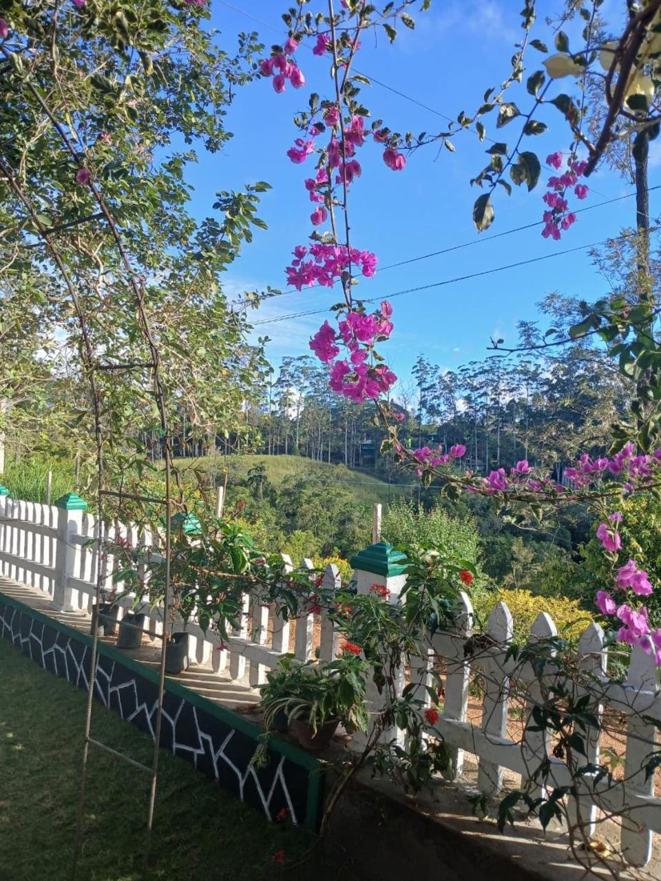 Nine Arch Gap Hotel Ела Екстериор снимка